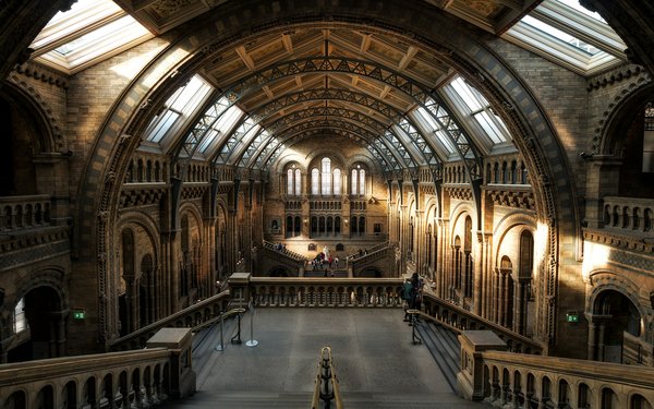 How can you book a private night tour of the Natural History Museum in London?
