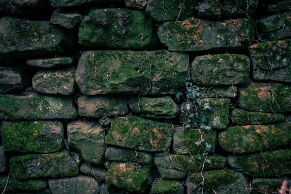 Where in the Cotswolds can tourists participate in a workshop on traditional English dry stone walling?
